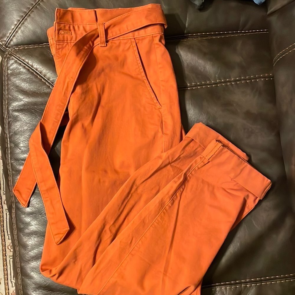 Banana republic burnt orange barrel pants
